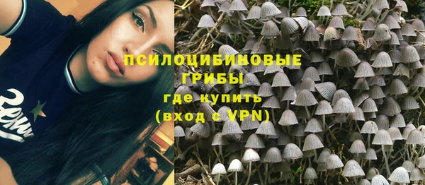 гидропоника Пересвет