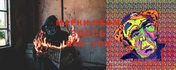 мяу мяу мука Пестово