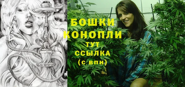 мяу мяу мука Пестово